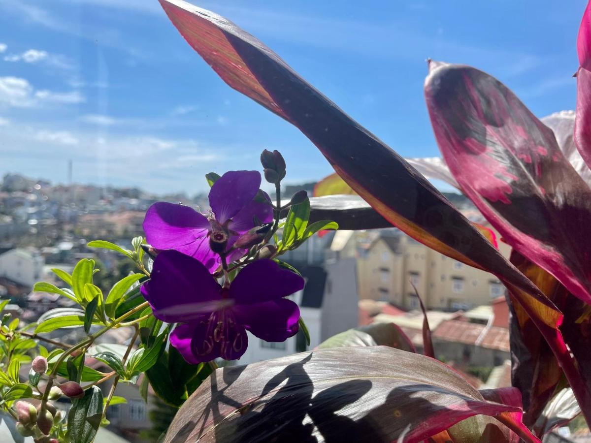 An Nhi Hotel Νταλάτ Εξωτερικό φωτογραφία